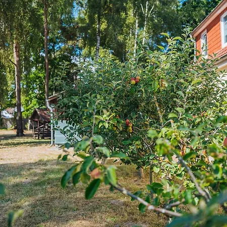 Xxl Ferienhaus Strand *