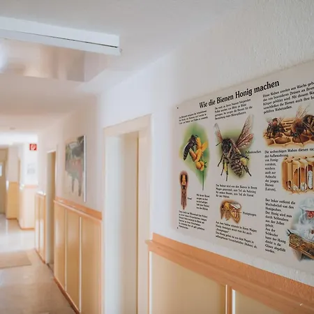 Semesterbostad Xxl Ferienhaus Strand *